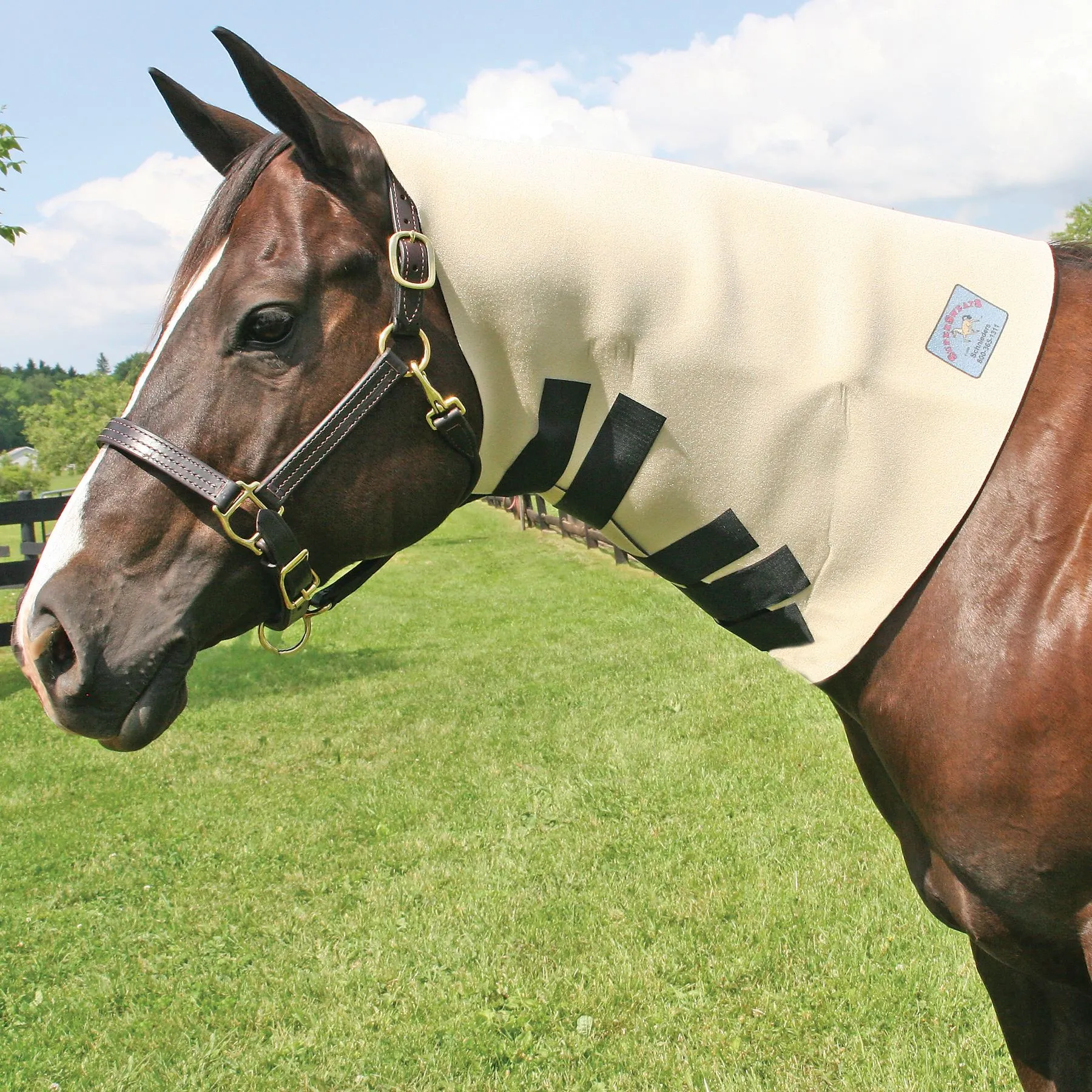 SuperSweats Neck Sweat Horse 1 SuperSweats Neck Sweat Horse