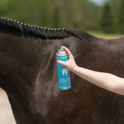 Ultra® Final Touch Shining Spray -Schneiders Shop 02182c alt c