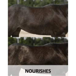 Ultra® Conditioning Shampoo -Schneiders Shop 02184c feature c overlay