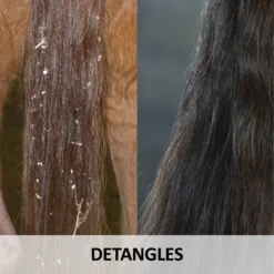 Ultra® Lazer Shine -Schneiders Shop 02211c feature b overlay