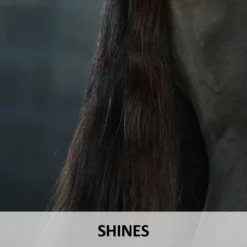 Ultra® Lazer Shine -Schneiders Shop 02211c feature c overlay