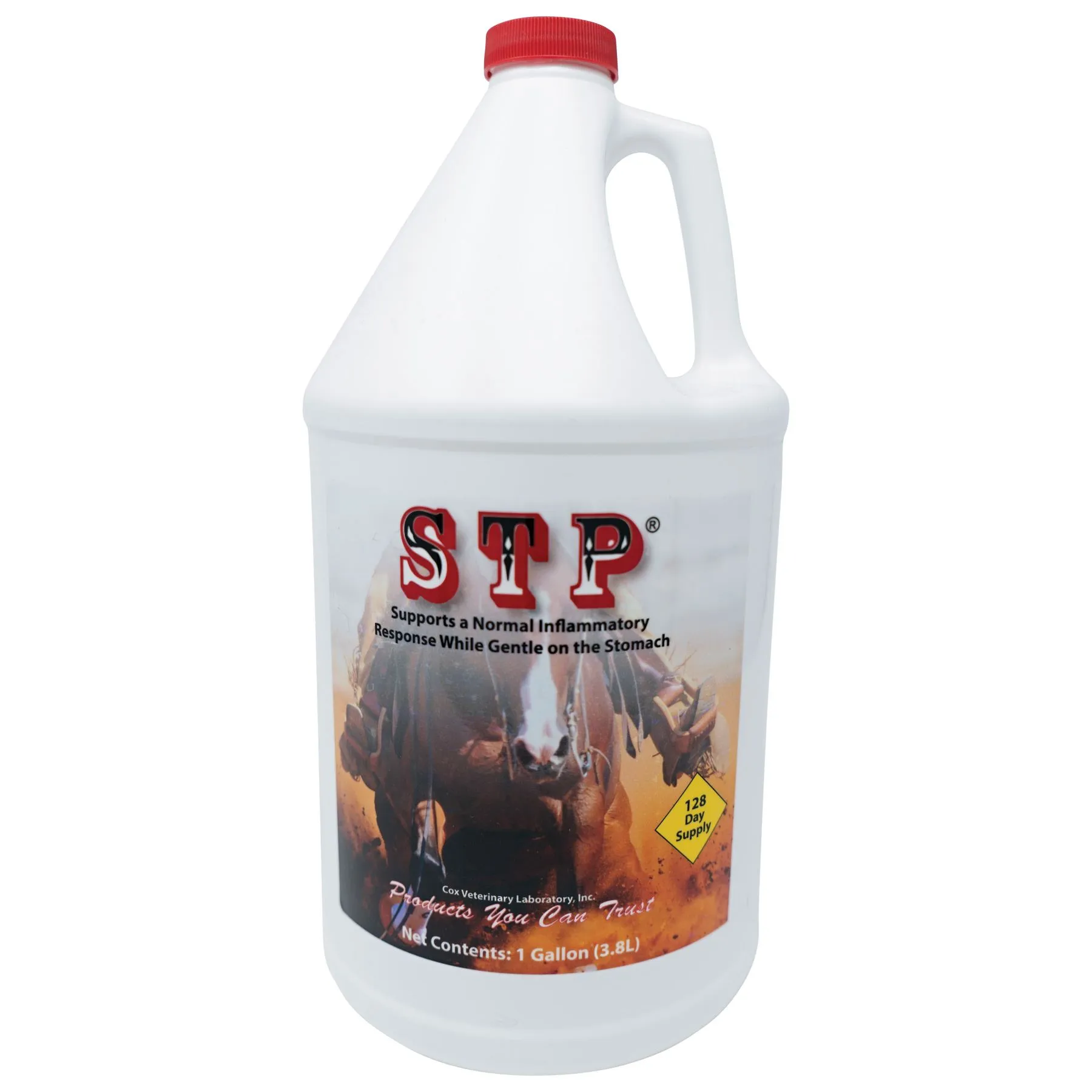 STP - Stop The Pain 2 STP - Stop The Pain - Image 2