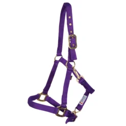 Dura-Tech® Cushion Web Halter -Schneiders Shop 10558 purple