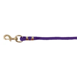 Dura-Tech 10' Nylon Lead Rope -Schneiders Shop 10585 purple