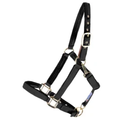 Dura-Tech® Deluxe Fully Padded Nylon Breakaway Halter -Schneiders Shop 12081 black