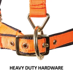 Dura-Tech® Deluxe Fully Padded Nylon Breakaway Halter -Schneiders Shop 12081 feature d overlay