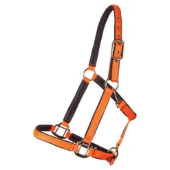 Dura-Tech® Deluxe Fully Padded Nylon Breakaway Halter -Schneiders Shop 12081 orange