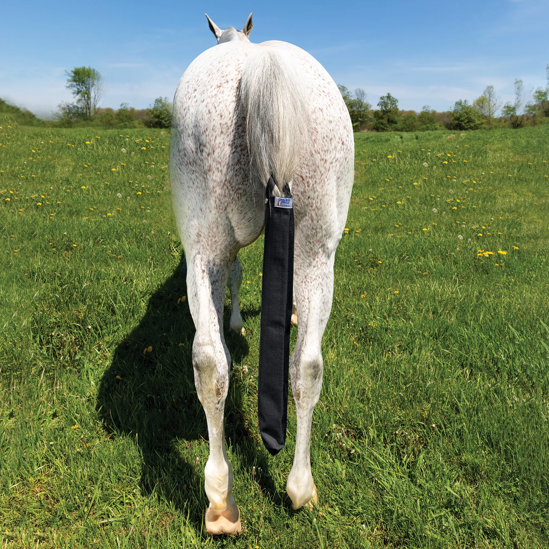 Dura-Tech® Breathable And Waterproof Tail Bag 4 Dura-Tech® Breathable And Waterproof Tail Bag - Image 4