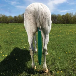 Dura-Tech® Breathable And Waterproof Tail Bag 6 Dura-Tech® Breathable And Waterproof Tail Bag -Schneiders Shop 12376 darkgreen