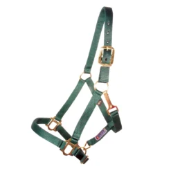 Dura-Tech® 1" Economy Nylon Halter -Schneiders Shop 12952 green