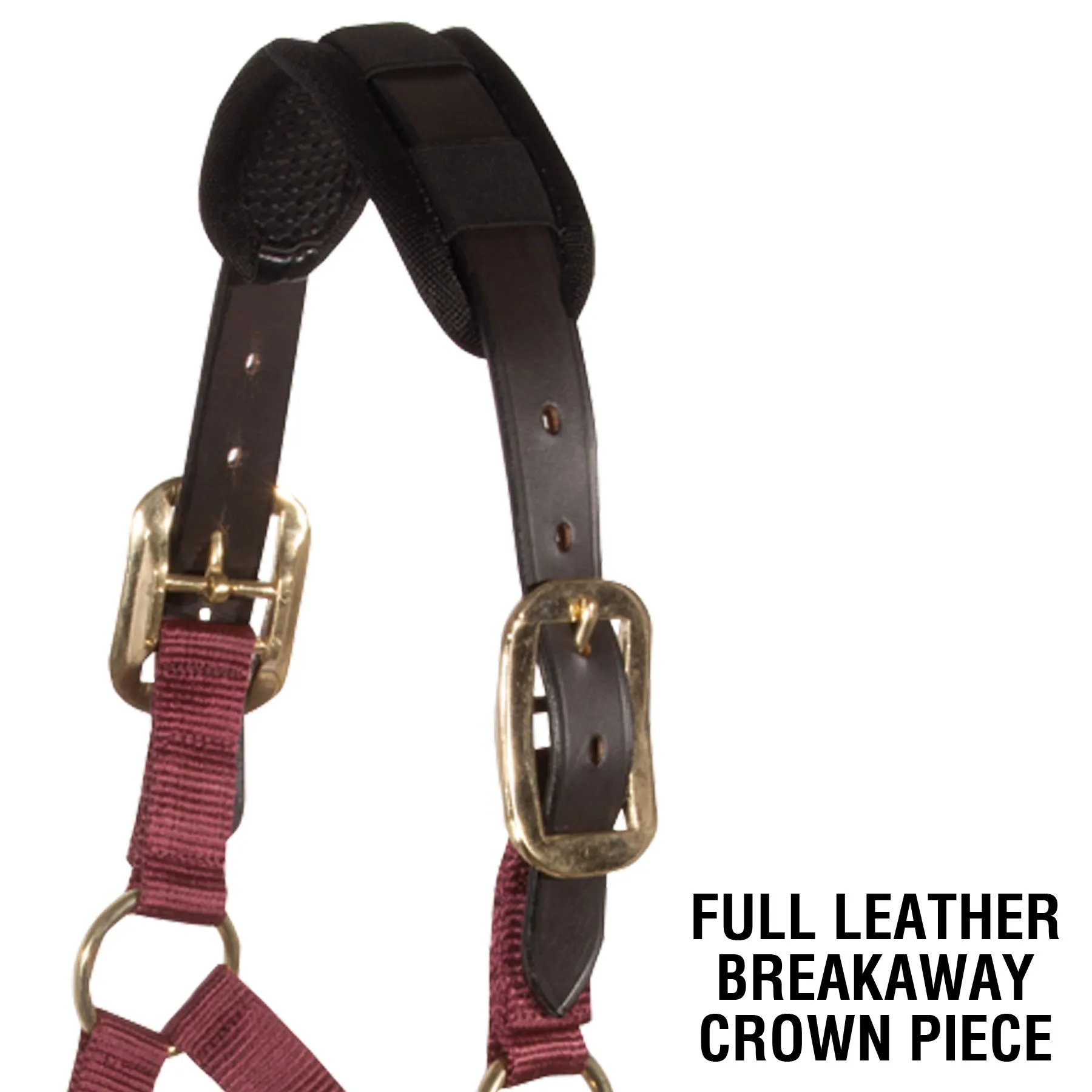 Dura-Tech® Comfort Plus Nylon Breakaway Halter 2 Dura-Tech® Comfort Plus Nylon Breakaway Halter - Image 2