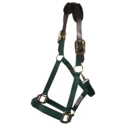 Dura-Tech® Comfort Plus Nylon Breakaway Halter 16 Dura-Tech® Comfort Plus Nylon Breakaway Halter -Schneiders Shop 18370 green