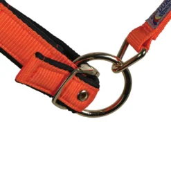 Dura-Tech Deluxe Fully Padded Nylon Halter For Horses -Schneiders Shop 18541 alt b