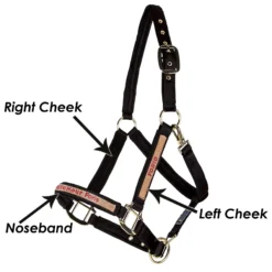Dura-Tech Deluxe Fully Padded Nylon Halter For Horses -Schneiders Shop 18541 alt c