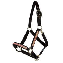 Dura-Tech Deluxe Fully Padded Nylon Halter For Horses -Schneiders Shop 18541 alt d