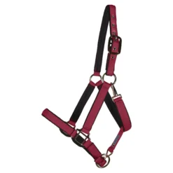 Dura-Tech Deluxe Fully Padded Nylon Halter For Horses -Schneiders Shop 18541 burgundy