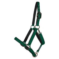 Dura-Tech Deluxe Fully Padded Nylon Halter For Horses -Schneiders Shop 18541 green