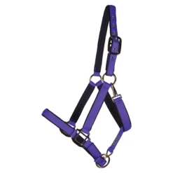 Dura-Tech Deluxe Fully Padded Nylon Halter For Horses -Schneiders Shop 18541 purple