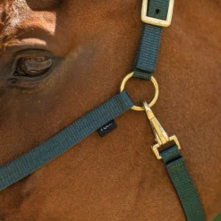 Dura-Tech® 3/4" Economy Nylon Halter -Schneiders Shop 18542 alt c