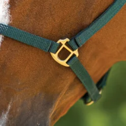 Dura-Tech® 3/4" Economy Nylon Halter -Schneiders Shop 18542 alt d