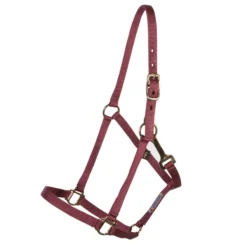 Dura-Tech® 3/4" Economy Nylon Halter -Schneiders Shop 18542 burgundy