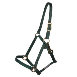 Dura-Tech® 3/4" Economy Nylon Halter -Schneiders Shop 18542 green