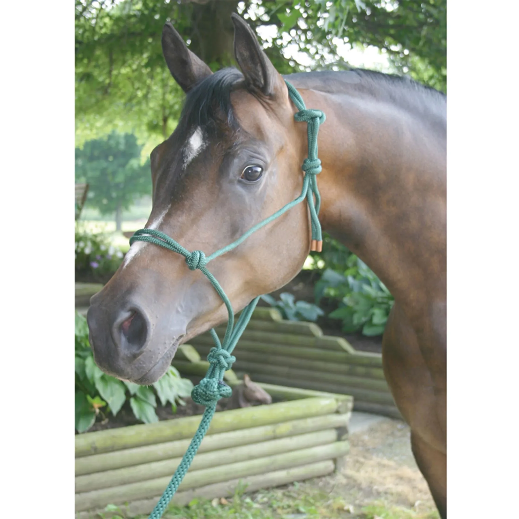 Dura-Tech® Rope Halter And Lead 1 Dura-Tech® Rope Halter And Lead
