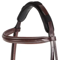 Dura-Tech® Magnetic Crown Piece -Schneiders Shop 23328 alt b