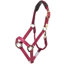 Dura-Tech® Magnetic Crown Piece -Schneiders Shop 23328 alt e