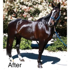 EquiFUSE® CitraCreme™ Conditioner -Schneiders Shop 23665 alt b