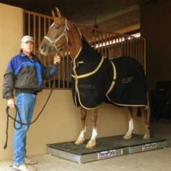 TheraPlate - Equine -Schneiders Shop 24629 alt c