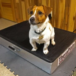 Theraplate Human 2'x3' -Schneiders Shop 24644 alt c