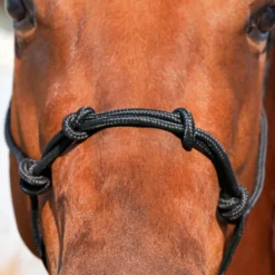 Dura-Tech® Rope Control Halter W/13.5' Lead 10 Dura-Tech® Rope Control Halter W/13.5' Lead -Schneiders Shop 24836 alt d