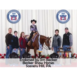 Lux Ceramic Therapy® Western Saddle Pad Liner -Schneiders Shop 25241 prof b overlay