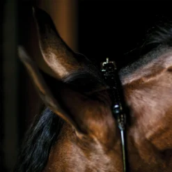 Billy Royal Thread Controller With Gold Rings -Schneiders Shop 30874 alt b