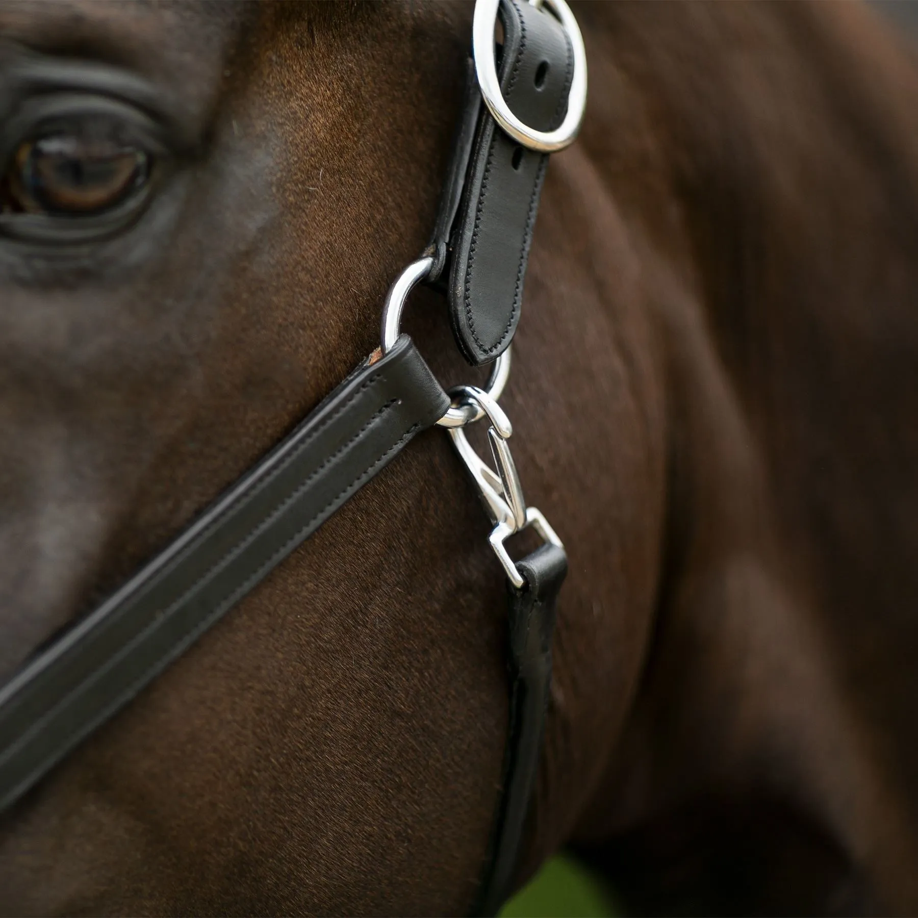 Joseph Sterling® Aachen Dressage Halter 4 Joseph Sterling® Aachen Dressage Halter - Image 4