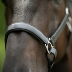 Joseph Sterling® Aachen Dressage Halter 15 Joseph Sterling® Aachen Dressage Halter -Schneiders Shop 32690 alt d