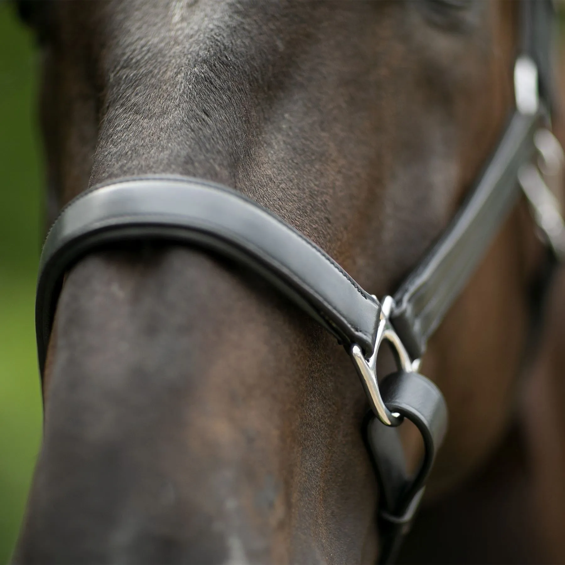 Joseph Sterling® Aachen Dressage Halter 5 Joseph Sterling® Aachen Dressage Halter - Image 5