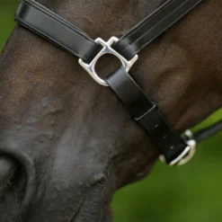Joseph Sterling® Aachen Dressage Halter 16 Joseph Sterling® Aachen Dressage Halter -Schneiders Shop 32690 alt e