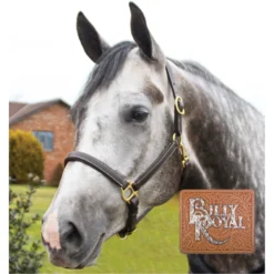 Billy Royal® Scottsdale Padded 3/4" Leather Halter 14 Billy Royal® Scottsdale Padded 3/4" Leather Halter -Schneiders Shop 33244 alt f