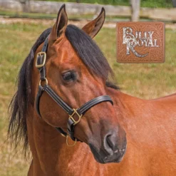 Billy Royal® Belmont Leather Halter -Schneiders Shop 33366 alt c