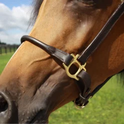 Billy Royal® Paris Rolled Nose Leather Halter -Schneiders Shop 33369 alt c