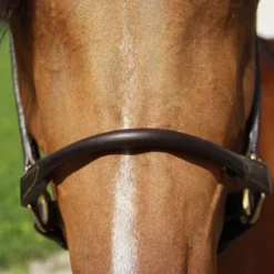 Billy Royal® Paris Rolled Nose Leather Halter -Schneiders Shop 33369 alt d