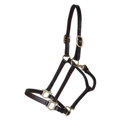 Premier® Premier Fort Worth 3/4" Leather Halter -Schneiders Shop 33371 alt b