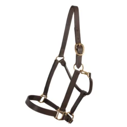 Premier® Premier Kentucky Leather Halter - Cob Or Full Size -Schneiders Shop 33380 alt d
