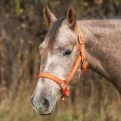 Weaver Leather Weaver Original Nylon Halter