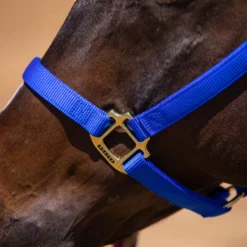 Weaver Leather Weaver Non-Adjust Nylon Halter 12 Weaver Leather Weaver Non-Adjust Nylon Halter -Schneiders Shop 34506 alt b