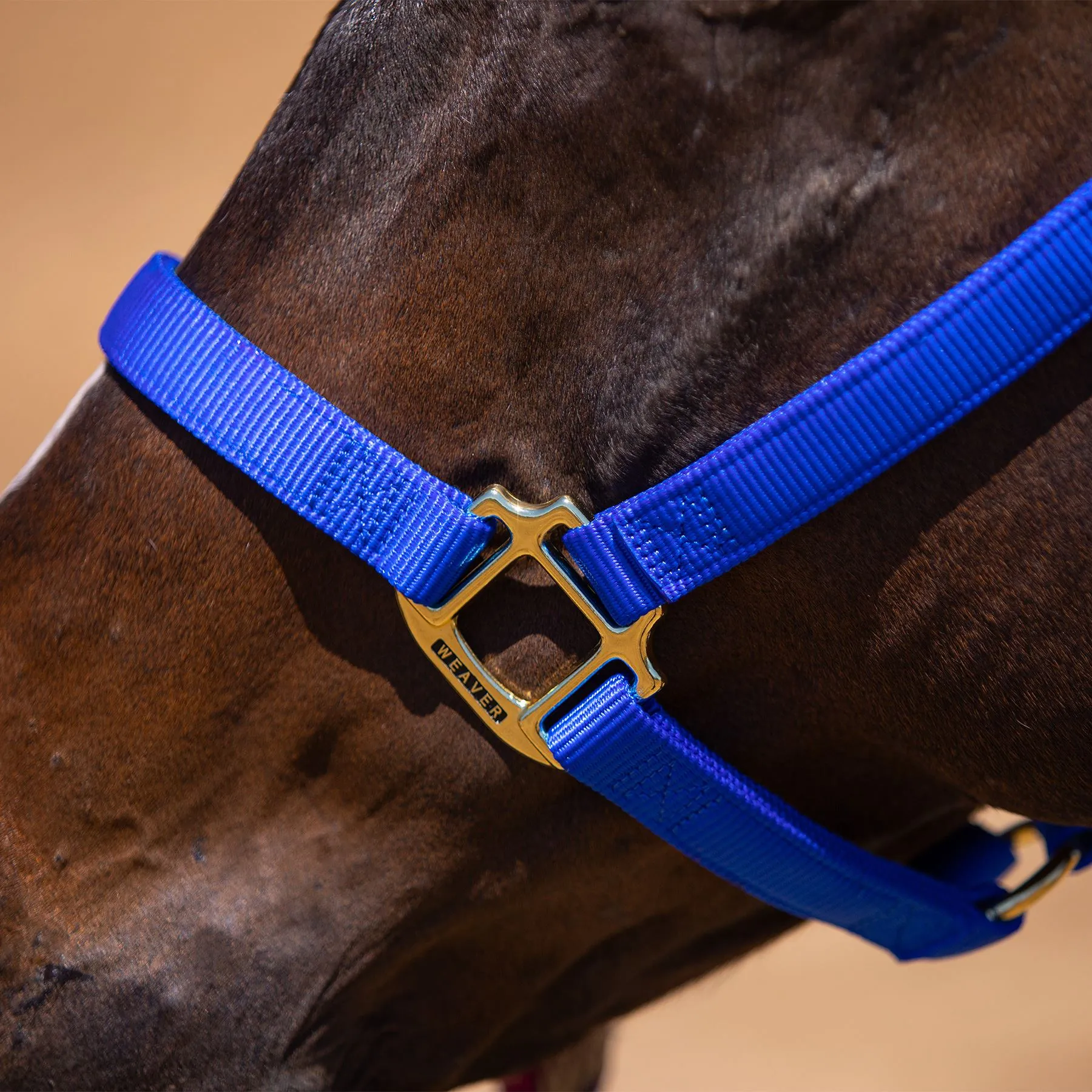 Weaver Leather Weaver Non-Adjust Nylon Halter 3 Weaver Leather Weaver Non-Adjust Nylon Halter - Image 3