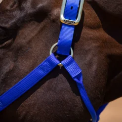 Weaver Leather Weaver Non-Adjust Nylon Halter 13 Weaver Leather Weaver Non-Adjust Nylon Halter -Schneiders Shop 34506 alt c