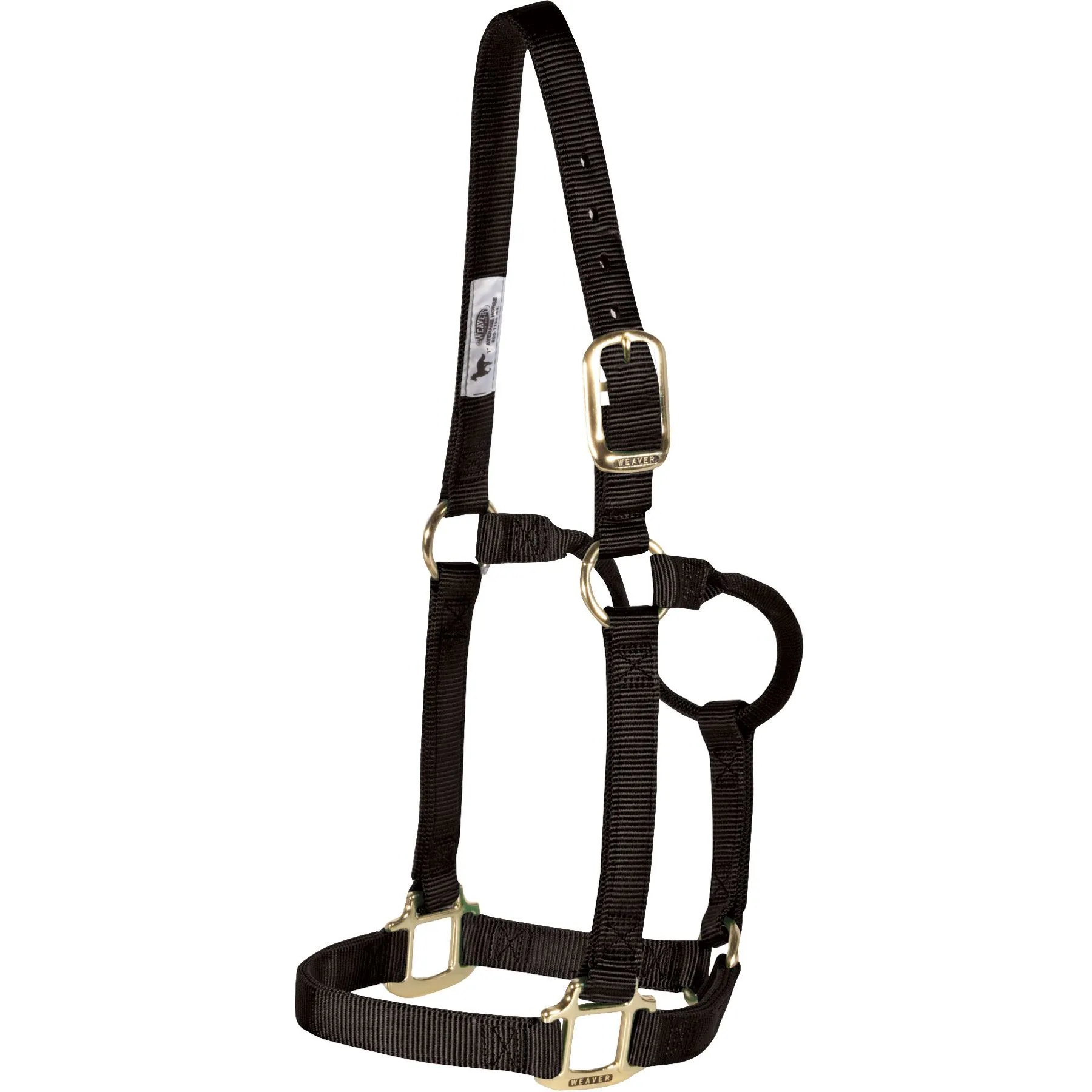 Weaver Leather Weaver Non-Adjust Nylon Halter 5 Weaver Leather Weaver Non-Adjust Nylon Halter - Image 5
